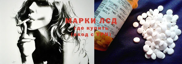 spice Богородск