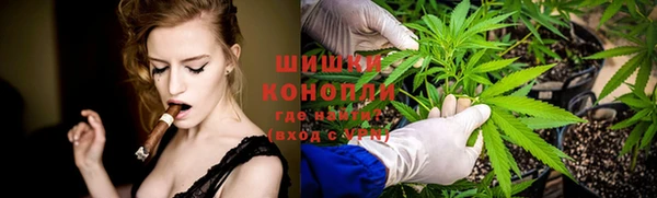 spice Богородск