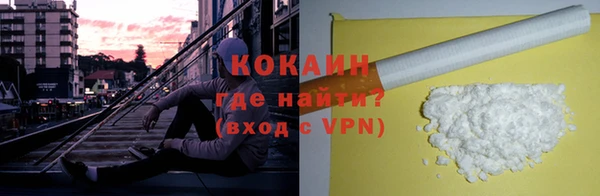 mdpv Богородицк