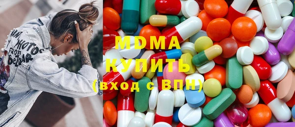 гашик Пересвет