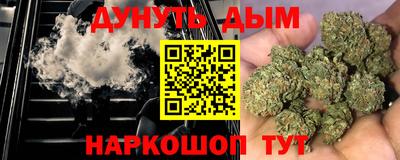 гидра Заводоуковск