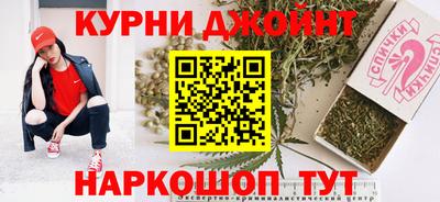 гидра Заводоуковск