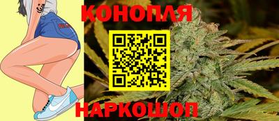 гидра Заводоуковск