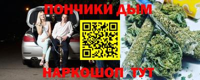 гидра Заводоуковск